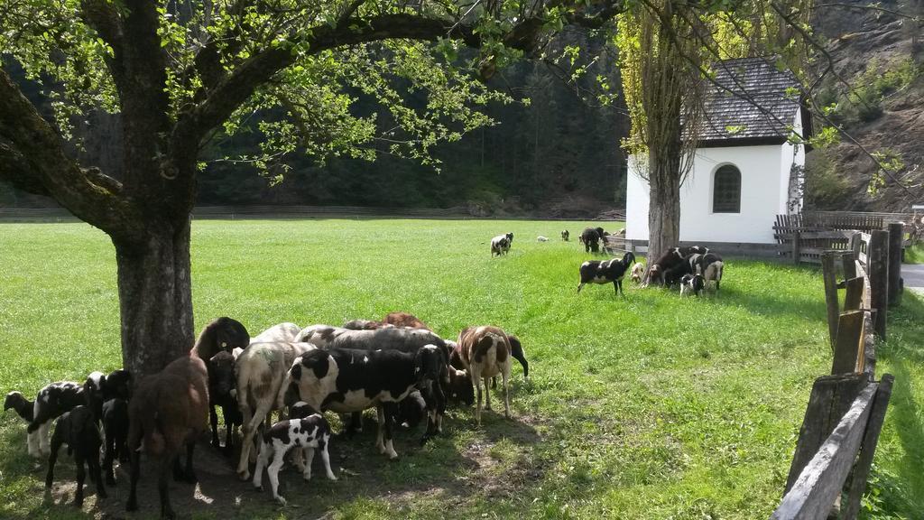Hotel Haus Fiegl Oetz Zewnętrze zdjęcie